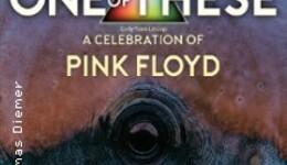 One of These Pink Floyd Tributes - Meddle